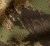 Lekka kurtka Härkila Deer Stalker Cover - AXIS MSP®Forest Camo