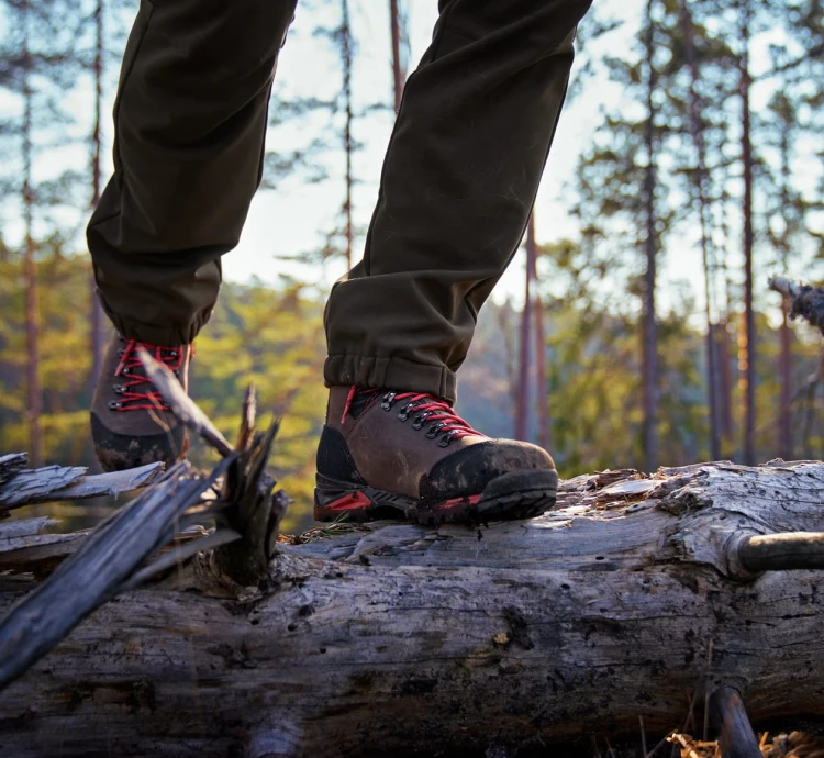 Buty Härkila Forest Hunter GTX Mid - Dark Brown