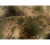 Spodnie Härkila Deer Stalker Light - AXIS MSP®Forest Camo