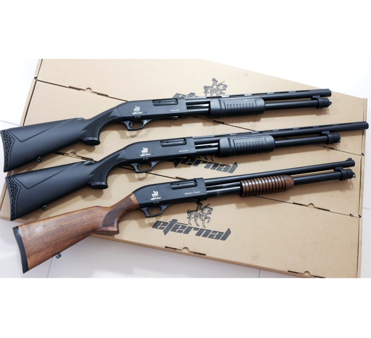 Eternal Gladiator (1).jpg