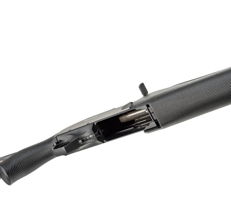 sx2 composite(5).jpg