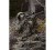 Spodnie Deerhunter Muflon BIB 3820 - Art Green