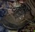 Buty Härkila Trail Lace GTX - Willow Green