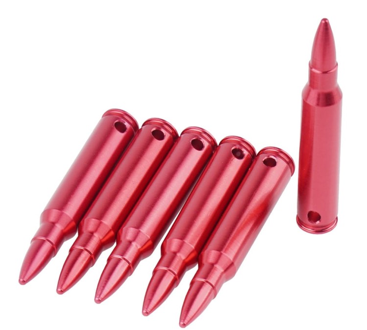 SCSC-01 (3).jpg