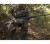 Sztucer Remington 783 (mod.85840) kal.223 Rem