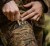 Spodnie damskie Härkila Deer Stalker HWS - AXIS MSP®Forest Camo (7).jpg