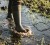 Seeland Hillside Flex Women - Pine Green (9).jpg