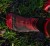 Skarpety Härkila WATERPROOF - Red/Black