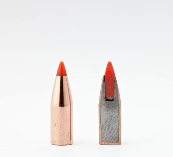 Hornady V-MAX bullets (3).jpg