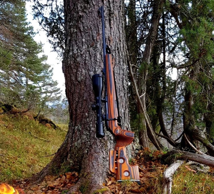 Kolba GRS Sporter do Blaser R8 Professional - Nordic Wolf (#104151)