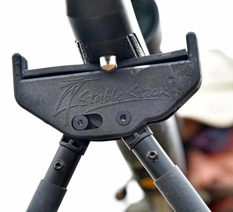 Stable Sticks Essential Green (7).jpg