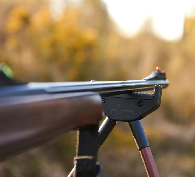 bush essential bordo(2).jpg