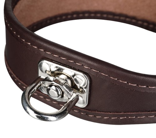 Obroża dla psa 2wolfs HEKTOR z krętlikiem (2).jpg