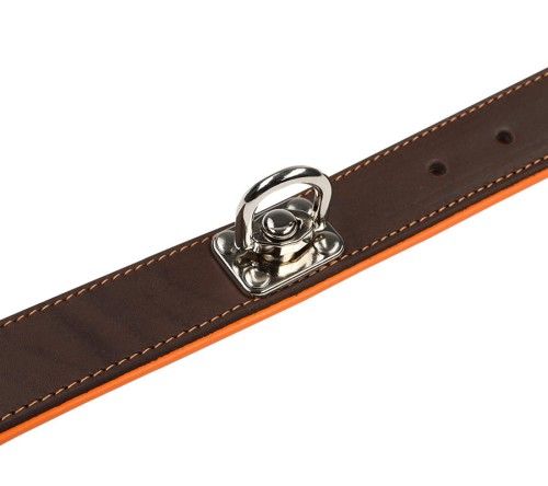 Obroża dla psa 2wolfs COMFORT MINI z krętlikiem (2).jpg