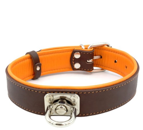 Obroża dla psa 2wolfs COMFORT z krętlikiem (2).jpg