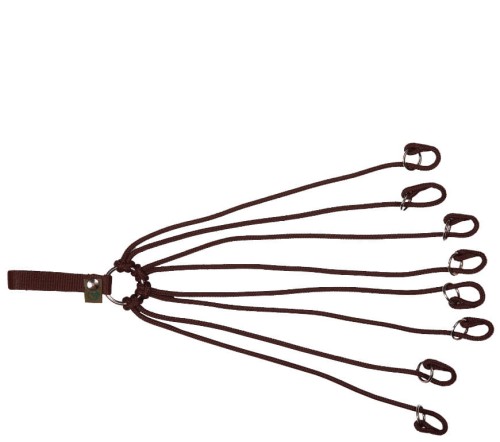 Troki 2wolfs WILD (2).jpg