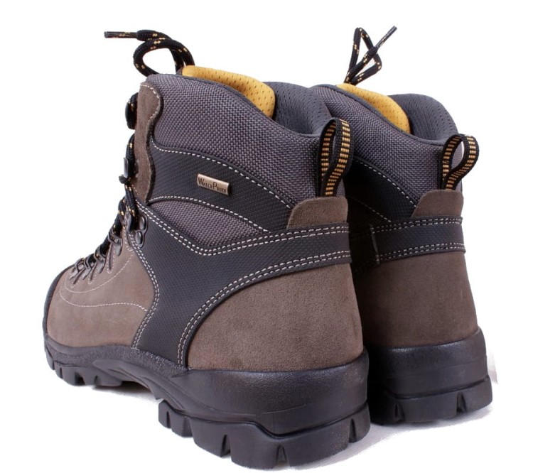 Lytos Stigelos Wei 1 - Brown;Grey (6).jpg