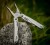 Multitool Leatherman Sidekick (831439) (7).jpg