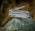 Multitool Leatherman Sidekick (831439) (8).jpg