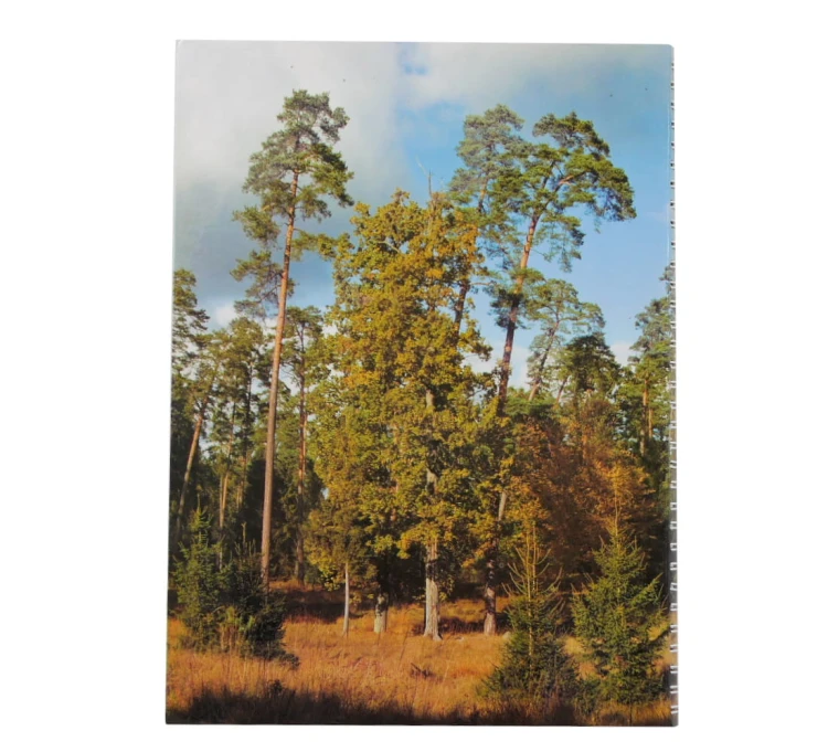 "Książka Obwodu Łowieckiego cz.I" (oprawa miękka)