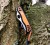 Scyzoryk Victorinox Hunter XT Grip 0.8341.MC9 (111mm) - PomarańczowyCzarny (5).jpg