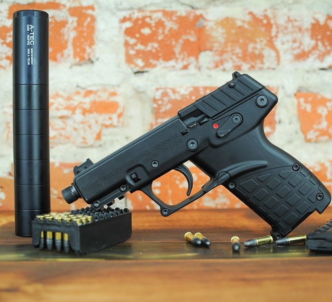 Kel-Tec P17 (10).jpg
