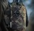 Pokrowiec na termowizję Härkila Spotter - AXIS MSP®Forest Camo