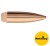 Pociski Sierra .30 (.308) MatchKing HPBT 168gr (100) (#2200)