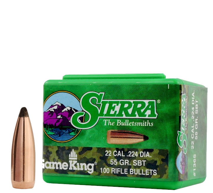 Sierra #1365 (1).jpg