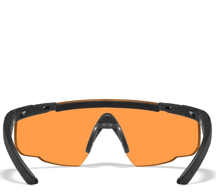 WileyX 301 (4).jpg