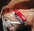 Victorinox Swiss Champ 1.6795 (8).webp
