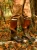 Kalosze damskie Aigle Parcours 2 Women - Brun (7).webp