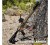 Karabinek LFA LF556 LEO Tactical 16" FDE kal.5,56x45mm/223 Rem