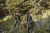 Kamizelka dwustronna Blaser Endeavor 231001-140/566