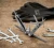 Multitool Leatherman Curl - Stainless (832932)