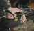 Latarka Armytek Wizard C1 Pro Magnet USB - White - 1000 lm