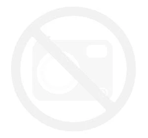 Okulary Wiley X SABER ADVANCED - Smoke/Rust/Vermilion Matte Black Frame (309)