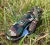 Scyzoryk Victorinox Trailfinder MW 0.8463.MW94 (111mm) - Camouflage