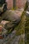 Spodnie Blaser Silence 2L 252044-152/599
