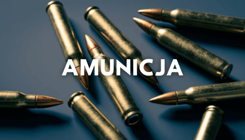 AMUNICJA.png